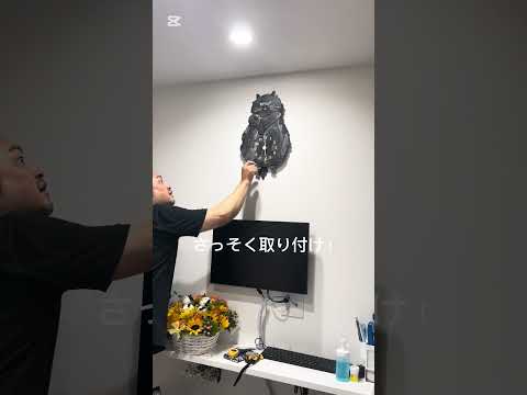 先生の亡き愛猫くーちゃんが帰ってきた！！ #cat   #先生の愛猫くーちゃん#shortsvideos