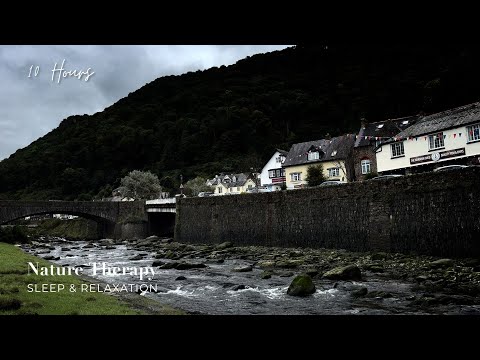 Rainy Day Stream Sounds for Sleep & Relaxation | Falling Rain & Flowing Water Sounds: White Noise