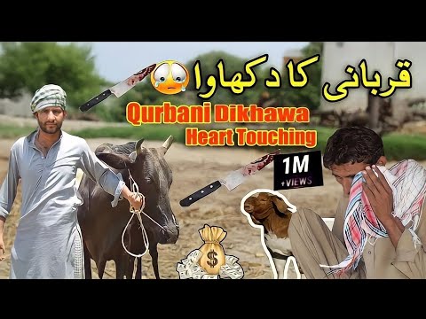 Qurbani ka Bakra or Dikhawa |Special Qurbani |by Tahir videos