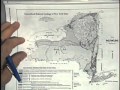 Identifying Gastropod Fossils in New York