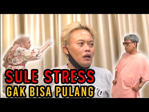 SULE KENA BATUNYA, STRESS SAMPE MINTA PULANG⁉️