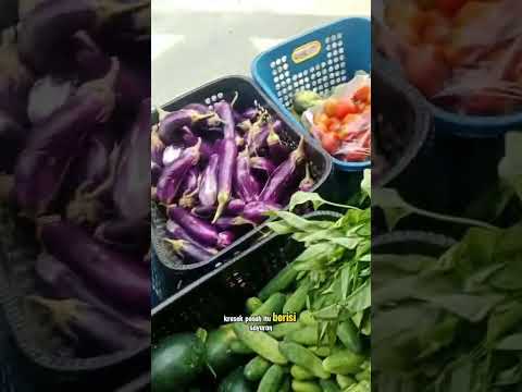 sayuran di obral #shorts #budidayatanaman #pertanian #sayuran #pertanian #viral #sayuransegar