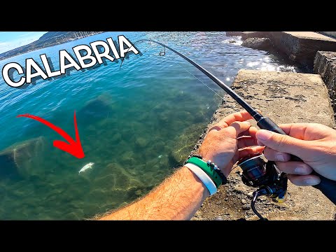 BELLISSIMA Pescata in Calabria! 6 SPECIE DI PESCI a Light Spinning in Porto [NUOVO Personal BEST]