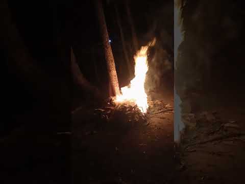 gabut di belakang rumah 😂😂😂😂