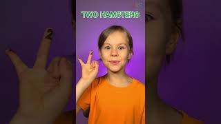 🏠 The Great Hamster Count Challenge! 🐹✨