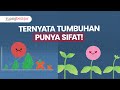 Plant Growth and Development Concepts