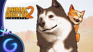 ANIMAL SHELTER SIMULATOR 2 - Gameplay FR