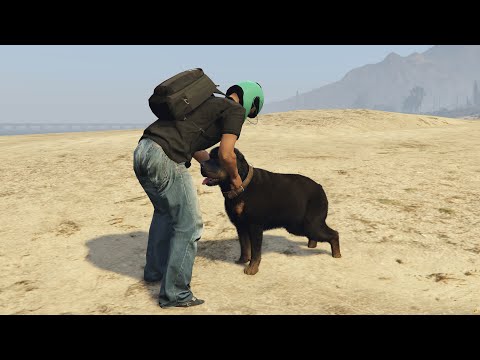 J'ai adopté un ROTTWEILER ! je vous présente CANINOS ! (SUM SUM: CITIZEN E10) (GTA 5 RP)