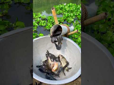 Very amazing fishing technique #fishingtrap #fishingvideo #shorts