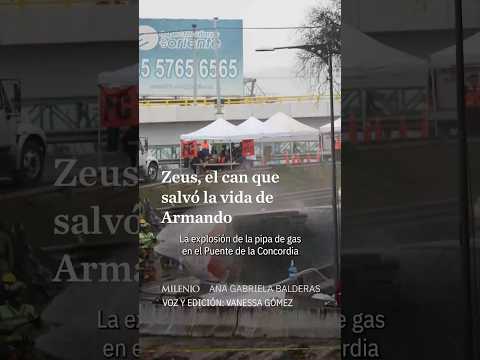 Armando, sobreviviente de la tragedia en Iztapalapa, narra cómo su perrito Zeus le salvó la vida