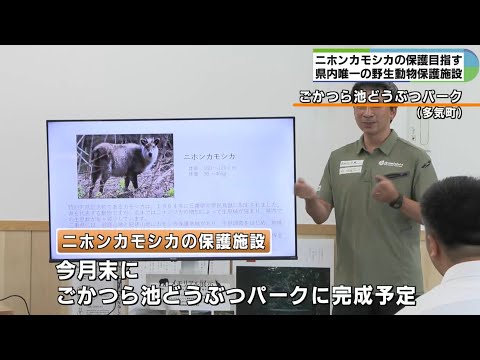 ニホンカモシカを保護　三重県内唯一の野生動物保護施設　三重・多気町
