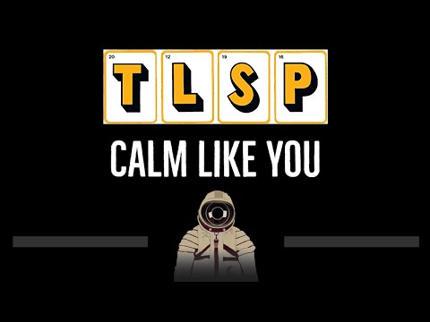 The Last Shadow Puppets • Calm Like You (CC) (Remastered Video) 🎤 [Karaoke] [Instrumental Lyrics]