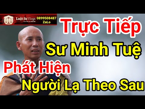 🔴 Trực Tiếp Sư Thích Minh Tuệ Được Đoàn Văn Báu Và Lê Khả Giáp Phát Hiện Điều Lạ | Luật Sư Vlogs