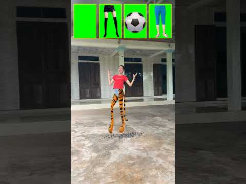 The tiger, the girl, the ball and the sister play a prank on Hana together
