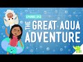 Understanding the Water Cycle