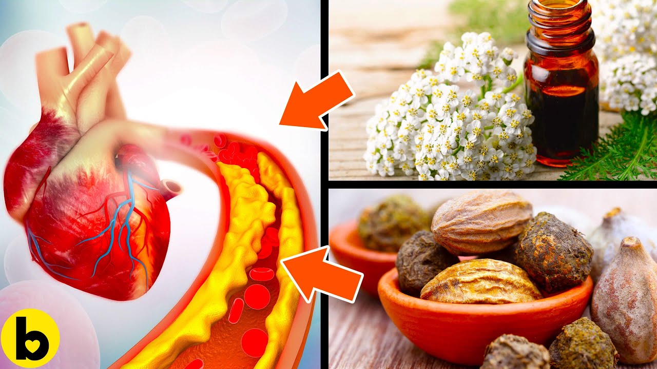 11 Amazing Herbs that help lower your High Blood Pressure