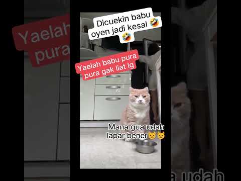 10 MENITBARU PAHAM NE #shotsvideo