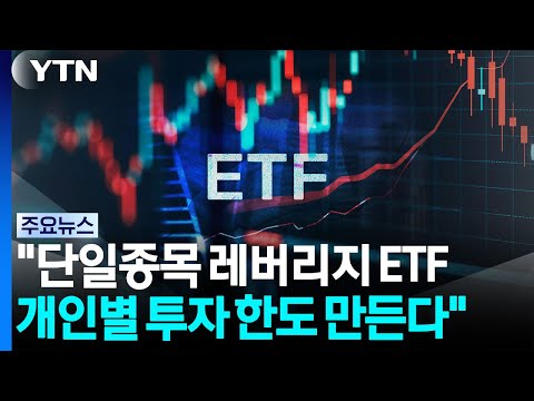 폭락 뒤 부랴부랴 추가 조치 "단일종목 레버리지 개인별 투자 한도 설정" / YTN