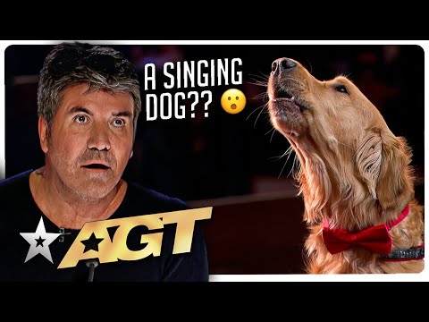 WILDEST Animal Auditions on America's Got Talent!