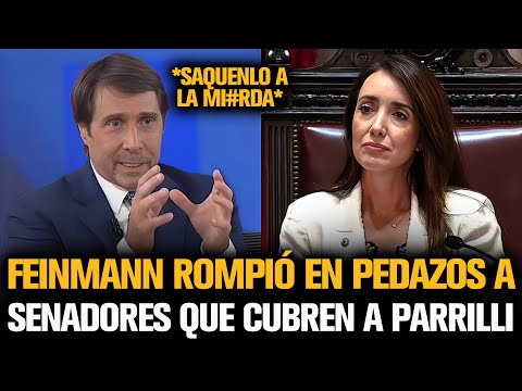 FEINMANN ROMPIÓ EN PEDAZOS A SENADORES KIRCHNERISTAS TRAS EL ESCÁNDALO