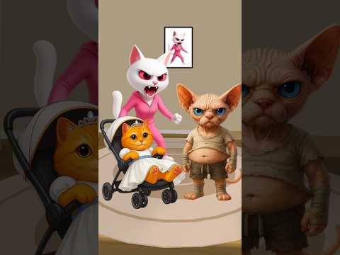 OMG Amazing Cat! 😹 Part 3 #funny #cat #cutecat #catvideos #catlover #trendingshorts