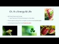 Autotrophs, ATP, and Energy Processes