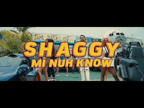 Shaggy - "Mi Nuh Know"