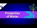 Exploring the Essential Properties of Water