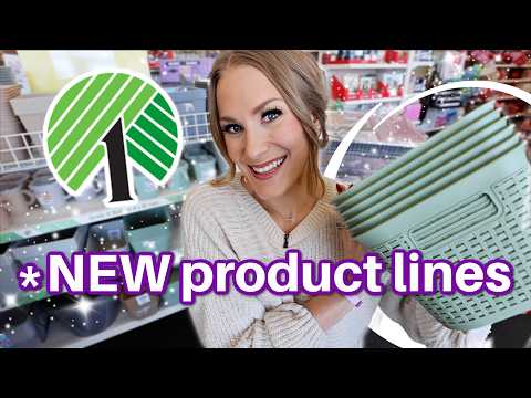 *BRAND NEW* DOLLAR TREE ORGANIZATION product lines for 2025! 😱