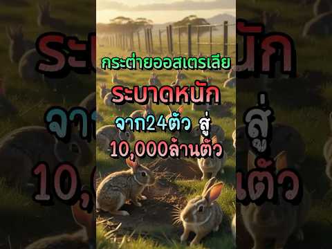 จากกระต่าย 24 ตัว → ระบาดเป็นพันล้าน ทำไมออสเตรเลียถึงเอาไม่อยู่? #สัตว์โลกน่ารัก #สาระกวนๆ #กระต่าย