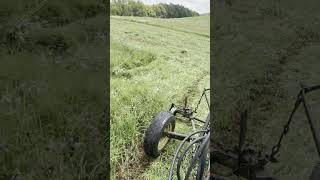 Getting Started On 2nd Cutting Hay #shorts #cuttinghay #shortsfeed #hay