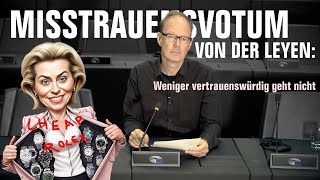 Misstrauensvotum gegen vonderLeyen