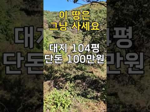 이런 땅은 생각하지 말고 그냥 사세요~대지104평 단돈100만원[땅지통]