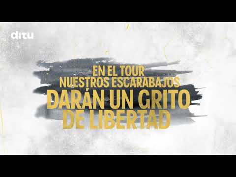 En el Tour de Francia nuestros 'escarabajos' darán un grito de libertad: Vívelo en ditu