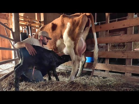 They Needed Some Extra Help...