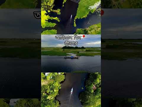 আড়িয়াল বিল শ্রীনগর মুন্সিগঞ্জ 📍❤️ #music #ভাইরাল #ভাইরাল_ভিডিও