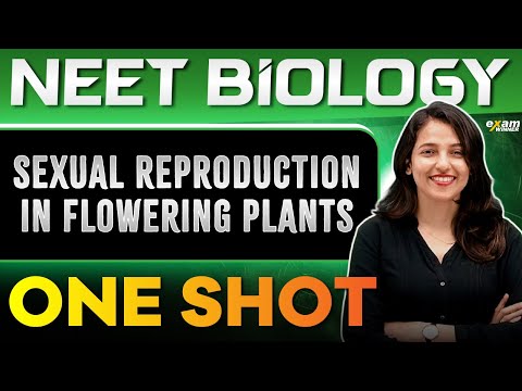 Plus Two Biology | Sexual Reproduction in Flowering Plants | Oneshot | Exam Winner