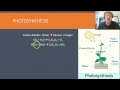 Endothermic and Exothermic Reactions