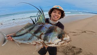 Buscando el Pez Gallo, El Máximo Trofeo de la Pesca de Playa! 