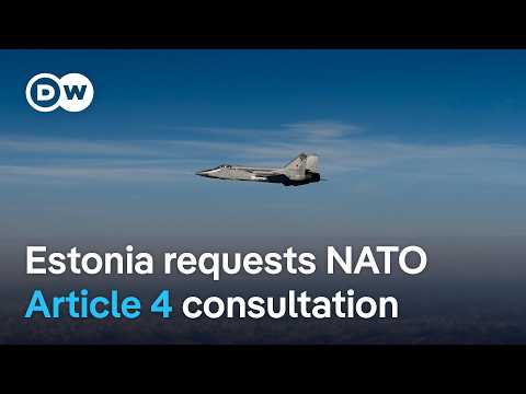 Was Russia testing NATO's response time in its recent incursion along Estonia's airspace? | DW News