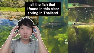 One of the Most Insane Fishkeeping Videos I've ever seen | Fish Tank Review 324