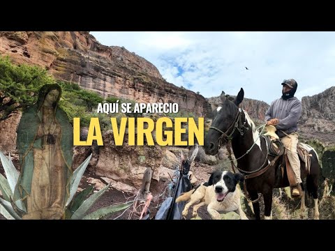 "SE LE APARECIO A UN CHIVERO Y CADA AÑO LA GENTE LE HACIA DANZA Y PRENDIAN VELADORAS"