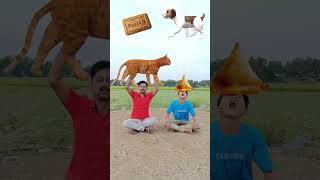 Eating samosa, parle g, alpenlibe, cake, pulse vs Catching cat, dog, rooster, duck & goat -Funny vfx