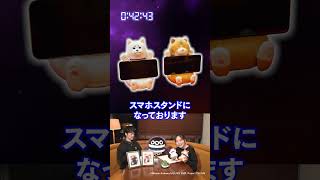動画サムネイル