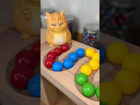 マーブルラン ASMR♫HABAスロープ&カラフルなマーブル&水が入ったグラス&ネコ #marblerun #satisfying