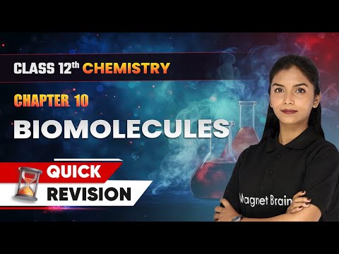 Biomolecules - Quick Revision | Class 12 Chemistry Chapter 10 | CBSE 2024-25