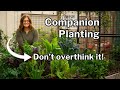 Companion Planting and Garden Strategies