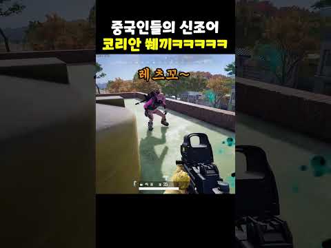 중국인들의 신조어 코리안 쒜끼ㅋㅋㅋㅋㅋㅋㅋㅋㅋㅋㅋㅋㅋㅋㅋ