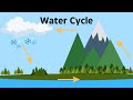 Exploring the Key Steps of the Water Cycle