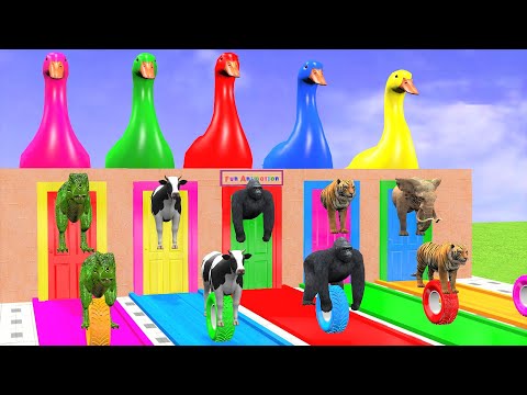 Cow Elephant Tiger Gorilla Hippo 3d Animal Crossing Paint Fountain on Long Slide Funny Cage Game